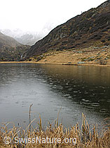 F032784: Halsesee im Herbst bei trübem Wetter und Regen
