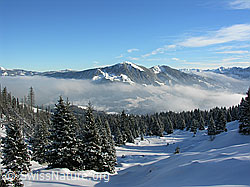 F032883: Schrattenfluh: Winterlandschaft mit Nebelschicht