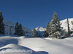F032906: Schrattenfluh: Schneebedeckte, unberührte Landschaft