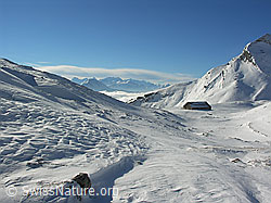 F032917: Schneebedeckte Winterlandschaft mit Alphütte