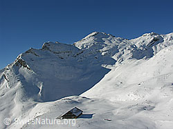 F032947: Bergelandschaft mit Alphütte im Winter
