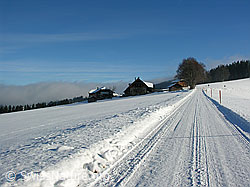 F033018: Schneebedeckte Fahrstrasse führt zu Bauernhof
