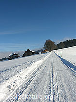F033019: Schneebedeckte Strasse führt zu Bauernhof mit Baum