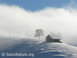 F033034: Stall auf Hügelzug von Nebelschwaden umgeben