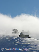 F033035: Stall auf Krete von Nebelschwaden umgeben