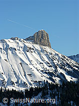 F033071: Schibengütsch mit Furchen und Schnee