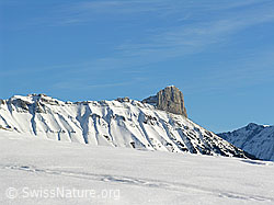 F033080: Schibengütsch mit Furchen im Felsmassiv