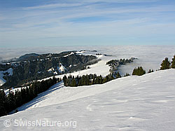 F033088: Schneebedeckte Emmentaler Hügellandschaft