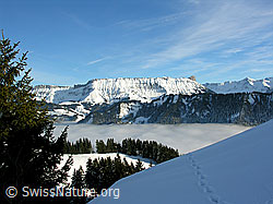 F033100: Wachthubel: Wildspur, Nebelmeer, Schrattenfluh