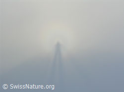 F033116: Schattenbild (Brockengespenst)