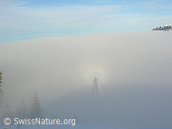 F033117: Schattenbild einer Person im Nebel