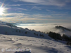 F033121: Wachthubel: Winterlandschaft im Emmental mit Nebelmeer