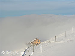 F033127: Nebelgrenze: Bauernhaus im Winter