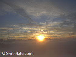 F033142: Sonnenuntergang im Nebelmeer
