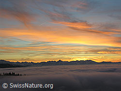 F033150: Abendstimmung mit Nebelmeer