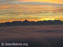 F033151: Stockhornkette mit Nebelmeer und Abendstimmung