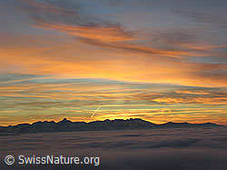 F033152: Gefärbte Wolken, Bergkette und Nebelmeer
