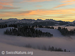 F033154: Abendstimmung über Winterlandschaft mit Nebelmeer