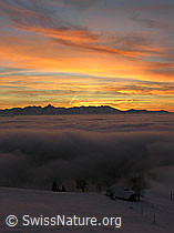 F033155: Abendstimmung mit Nebelmeer und gefärbten Wolken