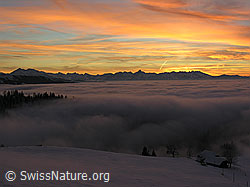F033156: Abendstimmung mit Nebelmeer im Winter