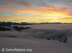 F033157: Winterlandschaft, Nebelmeer, Abendstimmung