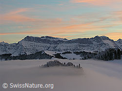 F033161: Nebelmeer im Winter mit Abendstimmung über dem Hohgant