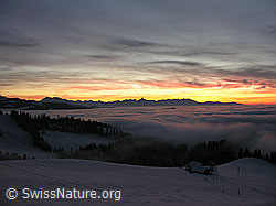 F033169: Rämisgummen: Abendstimmun mit Nebelmeer