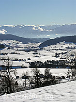 F033186: Winterlandschaft Emmental