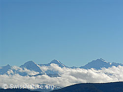 F033187: Eiger, Mönch Jungfrau und Wolken