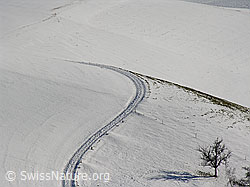 F033188: Winterlandschaft Emmental