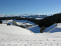 F033193: Emmentaler Winterlandschaft