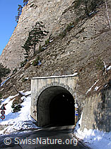 F033261: Tunneleingang bei Binn