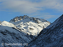 F033344: Portgerenstock