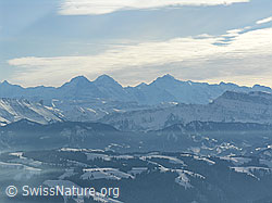 F033427: Farnliesel, Sumiswald, Emmental