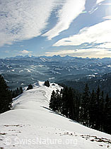 F033431: Farnliesel, Sumiswald, Emmental