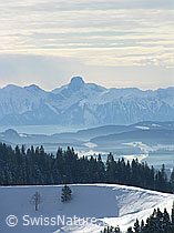 F033436: Farnliesel, Sumiswald, Emmental