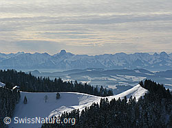 F033437: Farnliesel, Sumiswald, Emmental