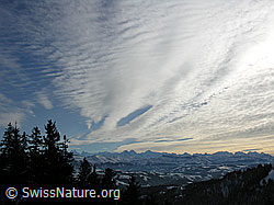 F033446: Dichte Schleierwolken