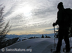 F033453: Schneeschuhläuferin im Gegenlicht