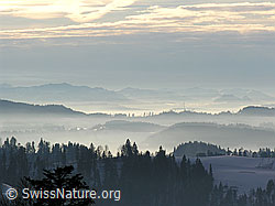 F033482: Vorderarni, Sumiswald, Emmental