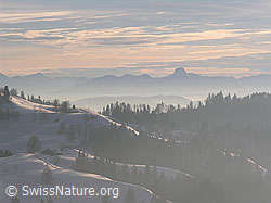 F033491: Abendstimmung über schneebedeckter Hügellandschaft und Voralpen