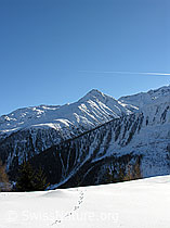 F033561: Brudelhorn