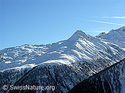 F033565: Brudelhorn im Winter