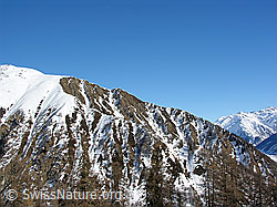 F033567: Erosionskessel Löwene oberhalb Münster