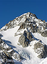 Foto: Vorder Galmihorn und Bächigletscher