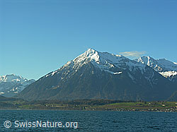 F034015: Niesen, Thunersee
