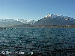 F034023: Thunersee, Niesen