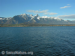 F034024: Thunersee, Stockhornkette
