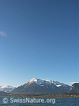 F034026: Niesen, Thunersee