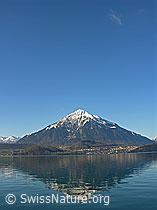 F034045: Niesenpyramide mit Spiegelung im Thunersee